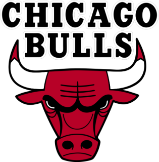 Chicago Bulls nálepka - SKLADOM