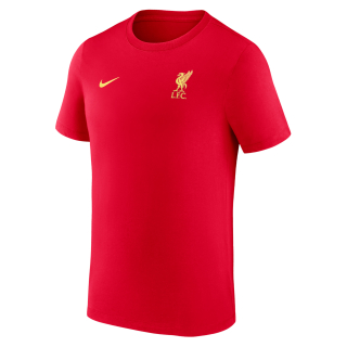 Nike Liverpool FC tričko červené pánske